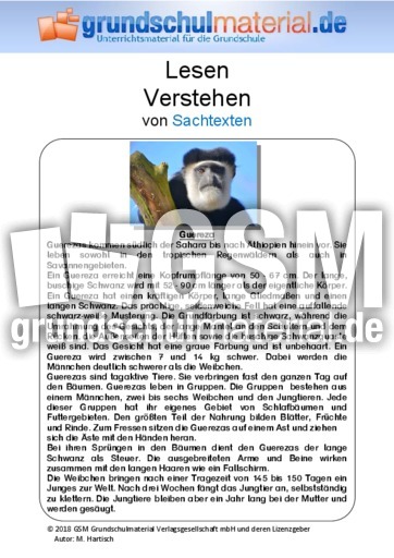 Guereza - Sachtext.pdf